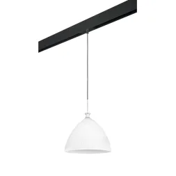 Трековый светильник Lightstar Agola PRO810030 (810030+595007)