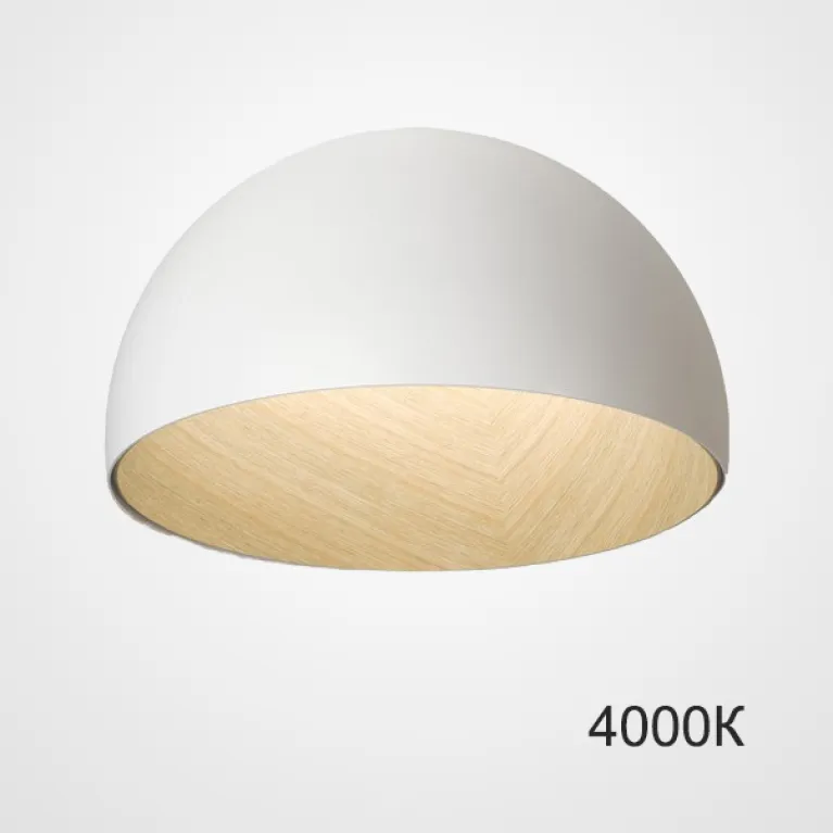 Потолочный светильник ImperiumLoft Bara 224006-23 в Нижнем Новгороде