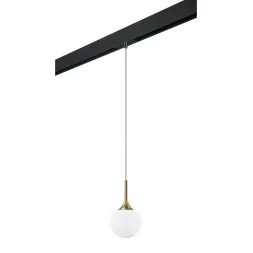 Трековый светильник Lightstar Globo PRO813012 (813012+595007)