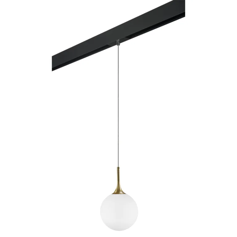 Трековый светильник Lightstar Globo PRO813022 (813022+595007) в Нижнем Новгороде