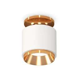 Потолочный светильник Ambrella Light Techno Spot XS7510120 (N7929, C7510, N7034)