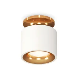 Потолочный светильник Ambrella Light Techno Spot XS7510121 (N7929, C7510, N7014)