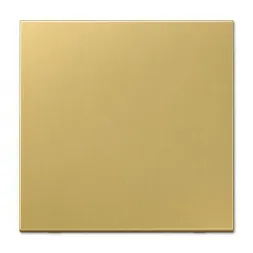 Розетка с заземлением с крышкой безвинтовой зажим Jung LS 990 classic ME2520KLC