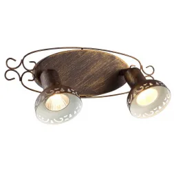 Спот Arte Lamp Focus A5219AP-2BR