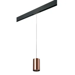 Трековый светильник Lightstar Rullo PRORP430 (214430+595857)