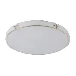 Потолочный светодиодный светильник De Markt Ривз 674017701