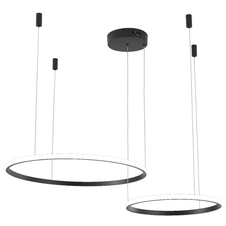 Подвесная люстра Zortes Ringolight ZRS.33321.63F в Нижнем Новгороде