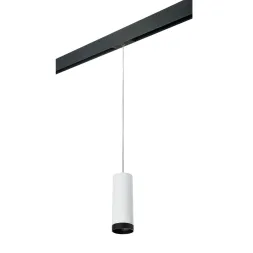 Трековый светильник Lightstar Rullo PRORP4863437 (214486+595857+203437)