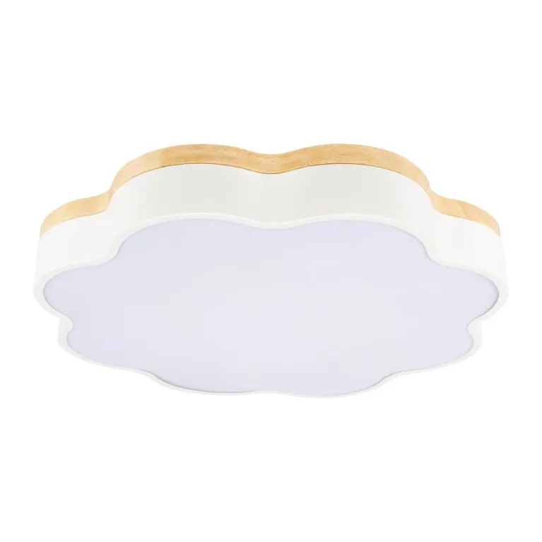 Потолочный светодиодный светильник Loft IT Axel 10225/36 White в Нижнем Новгороде