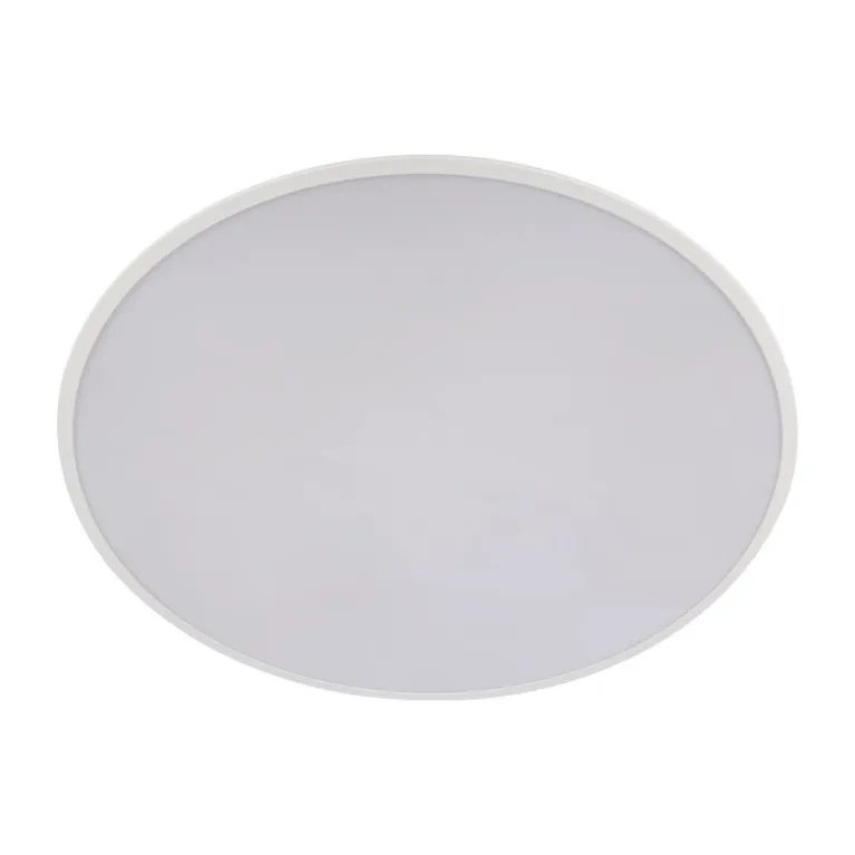 Потолочный светодиодный светильник Loft IT Brim 10226 White в Нижнем Новгороде