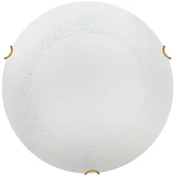 Настенно-потолочный светодиодный светильник Sonex Snok Ammonite 7602/BL
