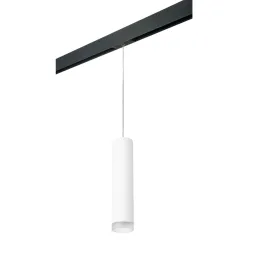 Трековый светильник Lightstar Rullo PRORP49630 (214496+595857+202430)