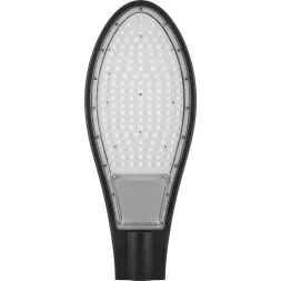 Уличный светодиодный консольный светильник Feron SP2925 32217