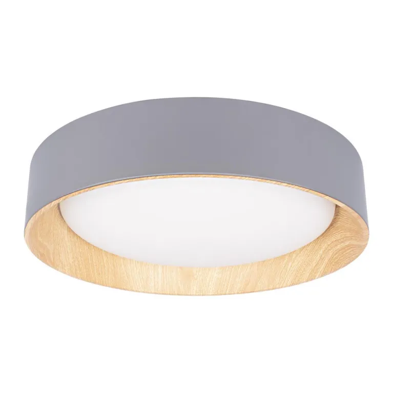 Потолочный светодиодный светильник Loft IT Coin 10202 Grey в Нижнем Новгороде