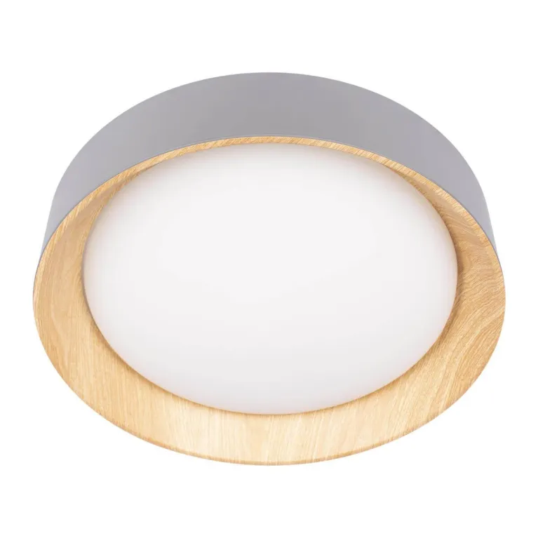 Потолочный светодиодный светильник Loft IT Coin 10202 Grey в Нижнем Новгороде