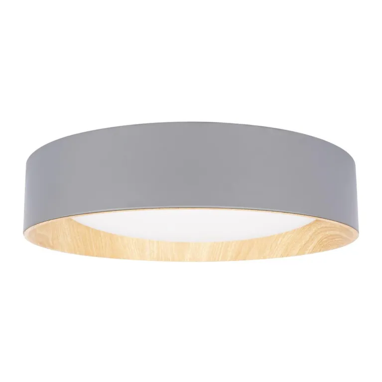 Потолочный светодиодный светильник Loft IT Coin 10202 Grey в Нижнем Новгороде
