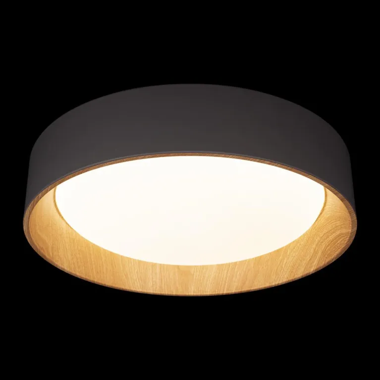 Потолочный светодиодный светильник Loft IT Coin 10202 Grey в Нижнем Новгороде