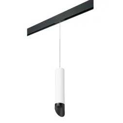 Трековый светильник Lightstar Rullo PRORP49637 (214496+595857+201437)