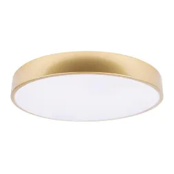Потолочный светодиодный светильник Loft IT Flims 10228/A