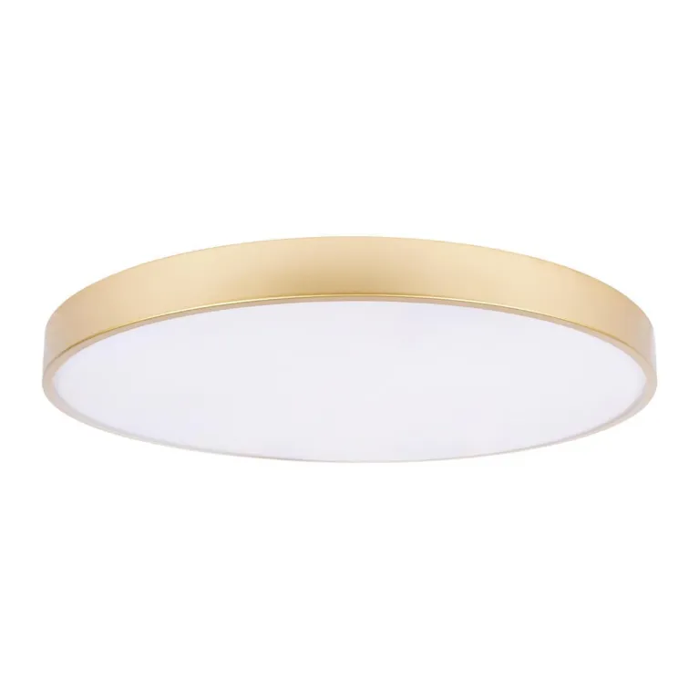 Потолочный светодиодный светильник Loft IT Flims 10228/B в Нижнем Новгороде