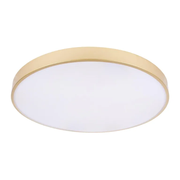 Потолочный светодиодный светильник Loft IT Flims 10228/B в Нижнем Новгороде