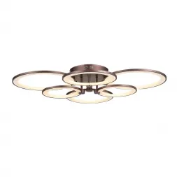 Потолочная светодиодная люстра ST Luce Twiddle SL867.702.06