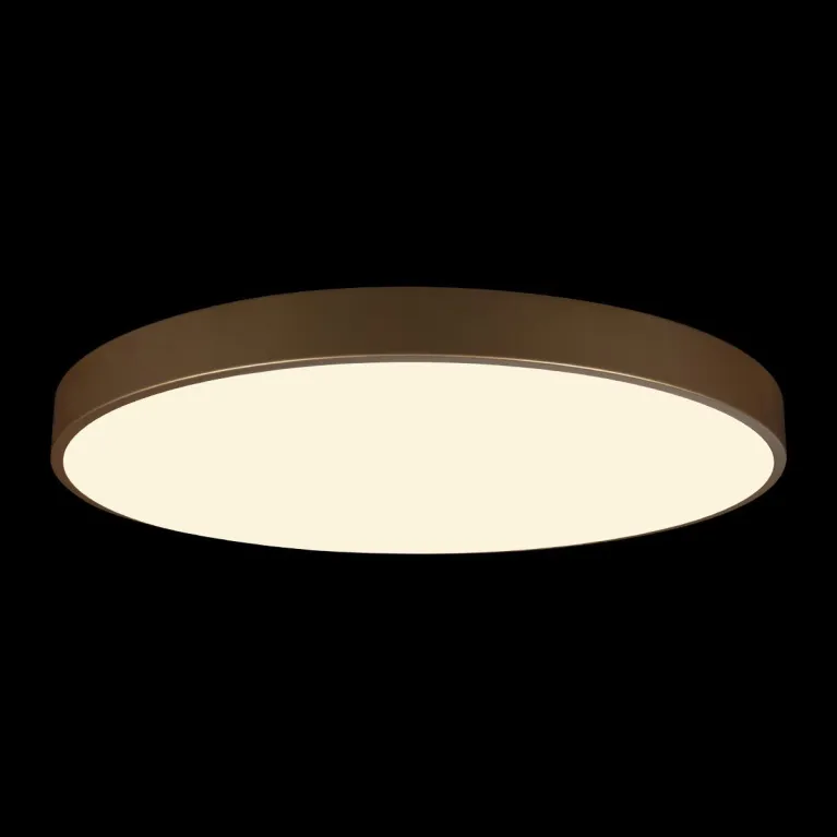 Потолочный светодиодный светильник Loft IT Flims 10228/B в Нижнем Новгороде