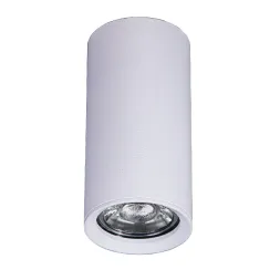 Накладной светильник Brizzi Aras BR08093
