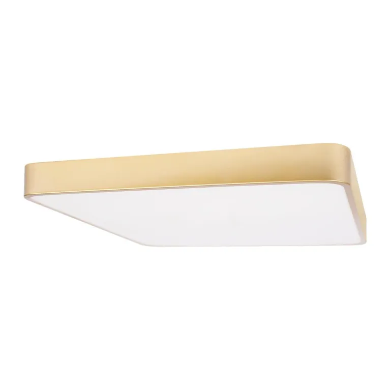 Потолочный светодиодный светильник Loft IT Flims 10228/D в Нижнем Новгороде