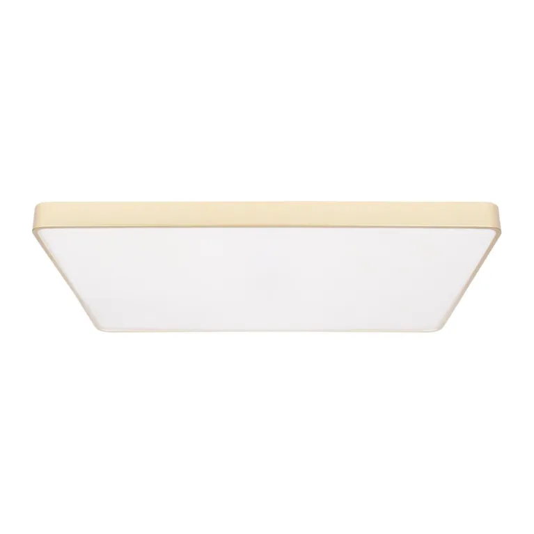 Потолочный светодиодный светильник Loft IT Flims 10228/E в Нижнем Новгороде