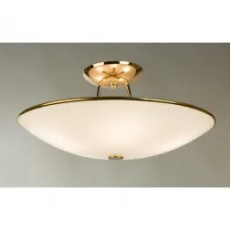 Потолочный светильник Citilux Комфорт CL911202