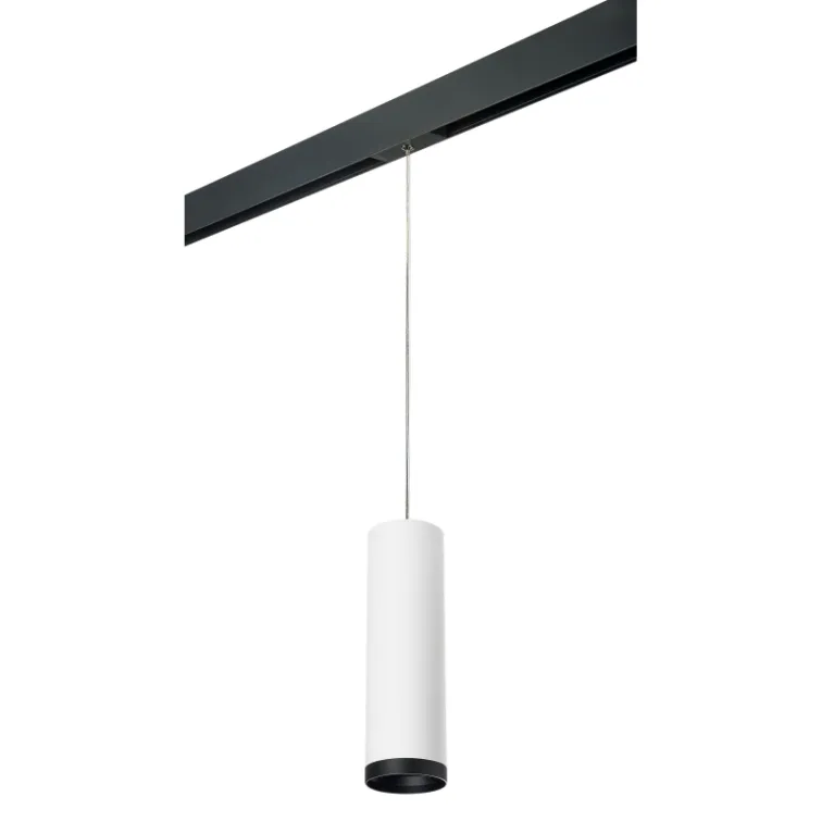 Трековый светильник Lightstar Rullo PRORP64963487 (216496+595887+203487) в Нижнем Новгороде