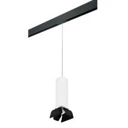 Трековый светильник Lightstar Rullo PRORP6496487 (216496+595887+202487)
