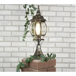 Уличный светильник Elektrostandard Classic NLG9913-D 4607176195989