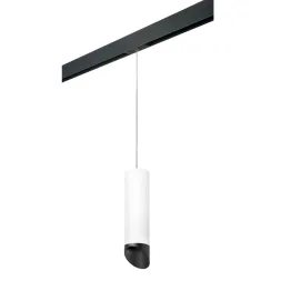 Трековый светильник Lightstar Rullo PRORP649687 (216496+595887+201487)