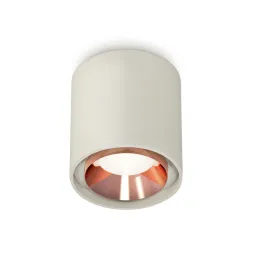 Потолочный светильник Ambrella Light Techno Spot XS7724005 (C7724, N7035)