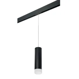 Трековый светильник Lightstar Rullo PRORP649781 (216497+595887+202481)