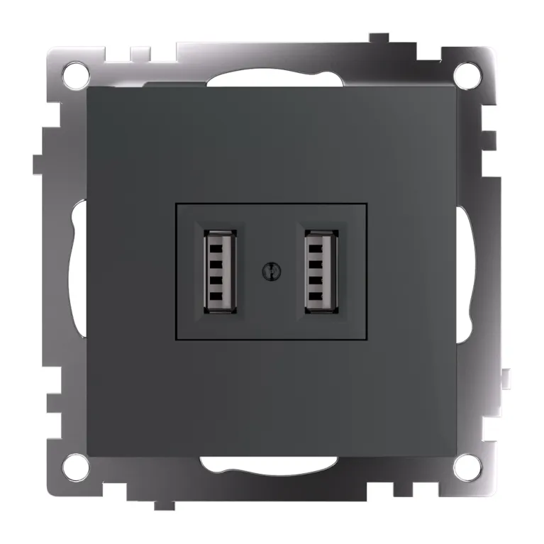 Розетка USB Stekker Катрин GLS10-7115-06 49422 в Нижнем Новгороде