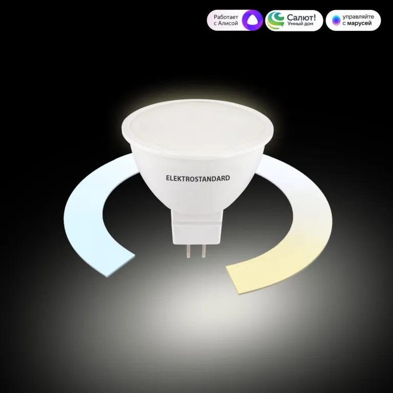 Умная светодиодная лампа Elektrostandard BLG5318 4690389217166 a071007 в Нижнем Новгороде