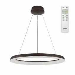 Потолочная люстра Citilux CL730095RS