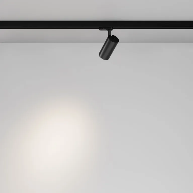Трековый трехфазный светильник Maytoni Focus Led TR029-3-10W4K-B-1 в Нижнем Новгороде