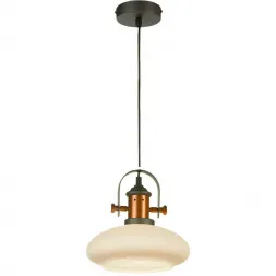 Подвесной светильник Lussole Loft GRLSP-9845