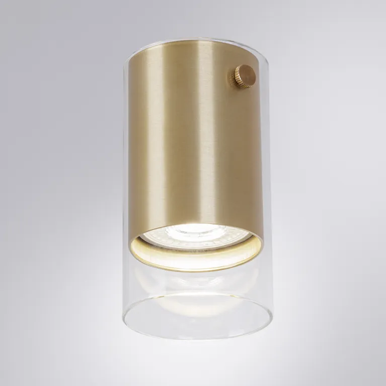 Накладной светильник Arte Lamp Lazio A5365PL-1SG в Нижнем Новгороде