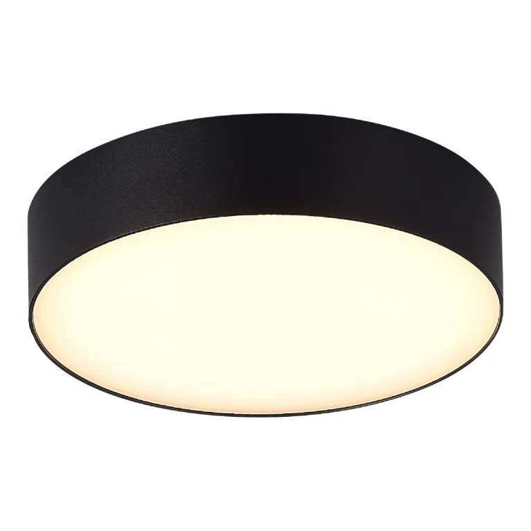 Уличный потолочный светильник ST Luce Sun SL9518.402.01 в Нижнем Новгороде
