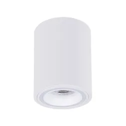 Накладной светильник Arte Lamp Imai A2267PL-1WH
