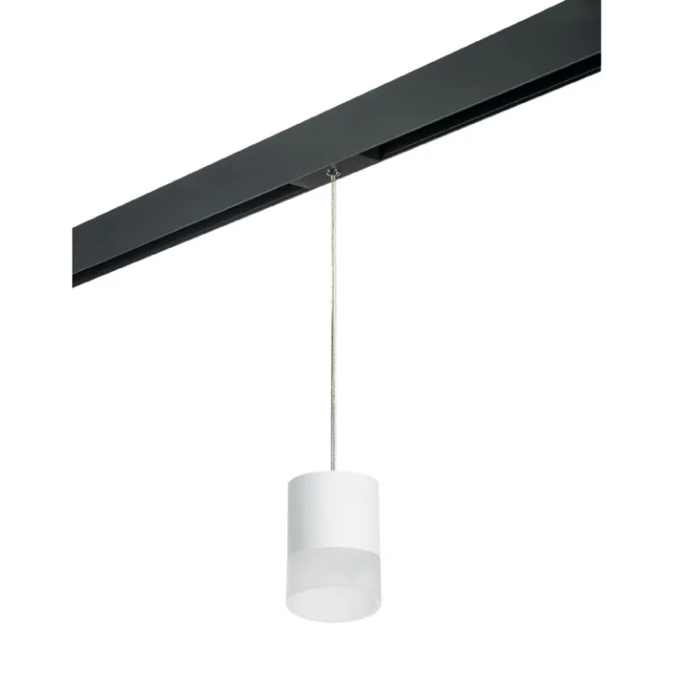 Трековый однофазный светильник Lightstar Rullo (213486+595887+202481) PRORP348681 в Нижнем Новгороде