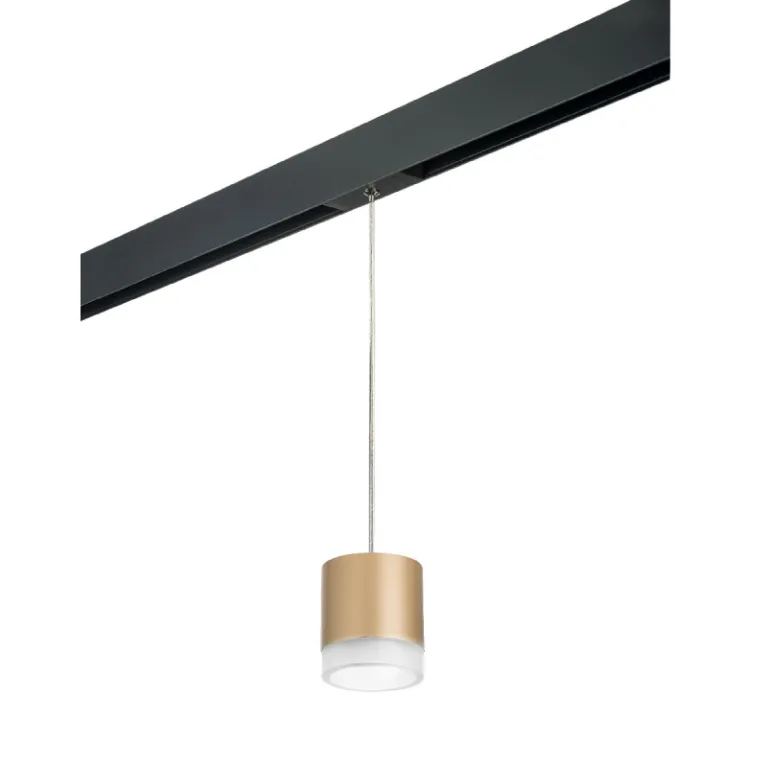 Трековый однофазный светильник Lightstar Rullo (213490+595887+202480) PRORP349080 в Нижнем Новгороде