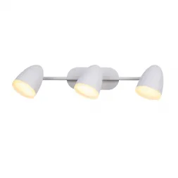 Светодиодный спот ST Luce Padivio SL387.501.03