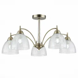 Потолочная люстра Evoluce Nuele SLE104402-05