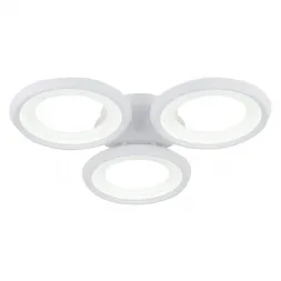 Потолочный светодиодный светильник Freya Blis FR6010CL-L51W